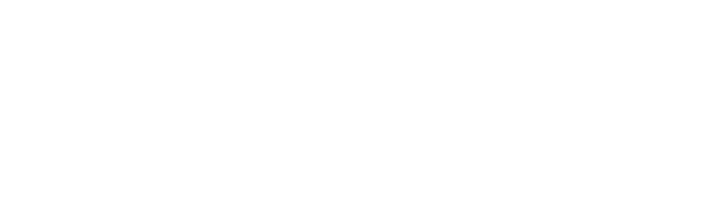 easyandnice instruments logo